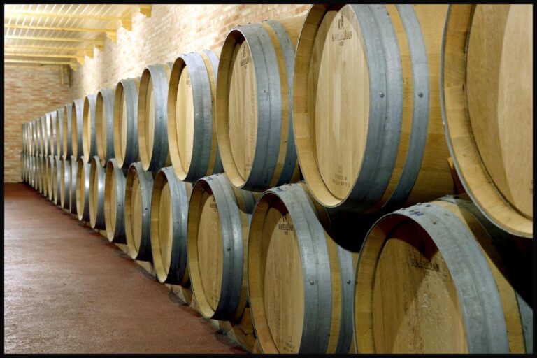 Toneles de vino